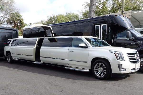 Tampa stretch limos