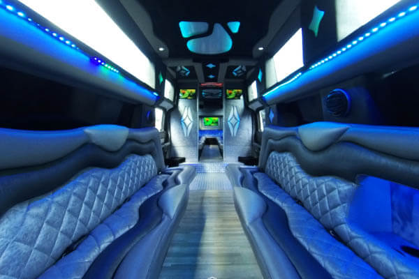 limo audio systems