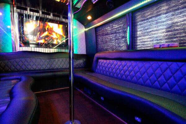 Televisions on party bus